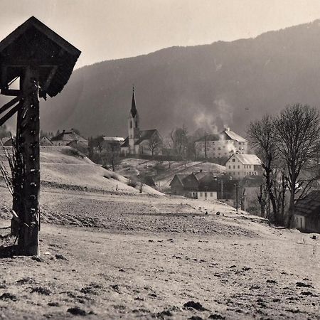 Apartments Edelweiss & Enzian - Gaestehaus Zum Fuchs Hermagor-Pressegger See Zewnętrze zdjęcie
